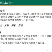  意甲新规引争议，VAR判定标准遭炮轰  