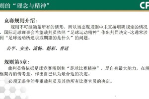  意甲新规引争议，VAR判定标准遭炮轰  